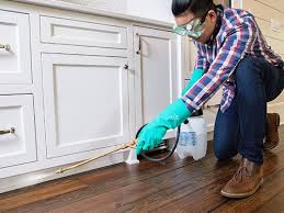 Best Real Estate Pest Inspections  in Winston, OR