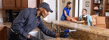 Professional Pest control in Winston, OR