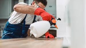 Best Residential Pest Control  in Winston, OR