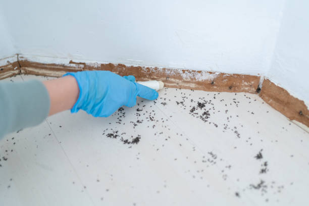 Best Bed Bug Extermination  in Winston, OR